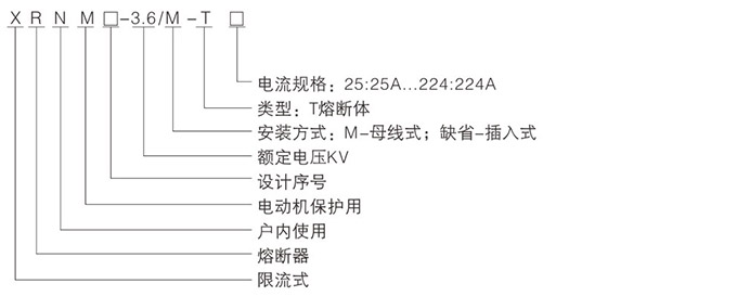 高壓限流熔斷器型號(hào)示意